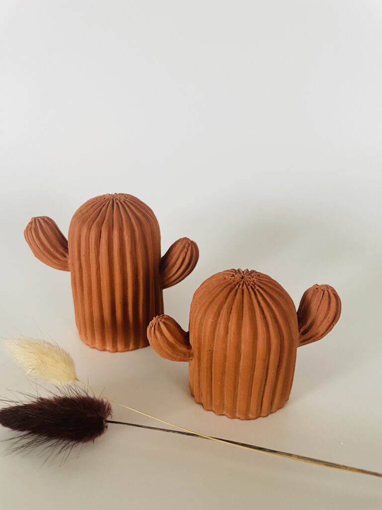 Cactus en résine (ensemble de 2) – Joy
